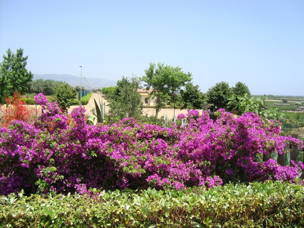 Tenuta Colle Degli Ulivi سيباري المظهر الخارجي الصورة