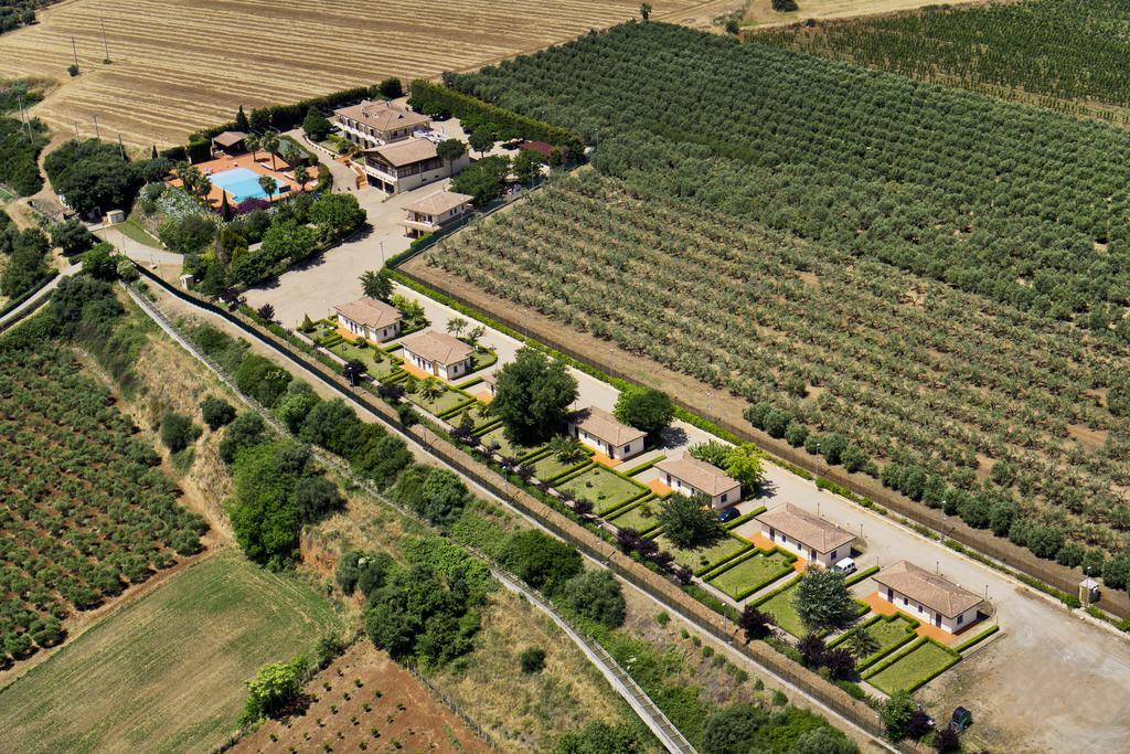 Tenuta Colle Degli Ulivi سيباري الغرفة الصورة